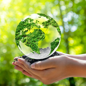 A picture of a globe signifying the world held in someones hand
